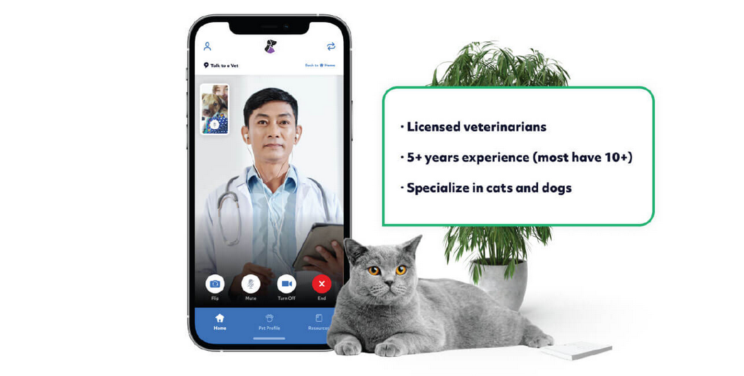 Easy Pet Vets